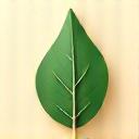 Icona di una foglia e un filo di tessuto.